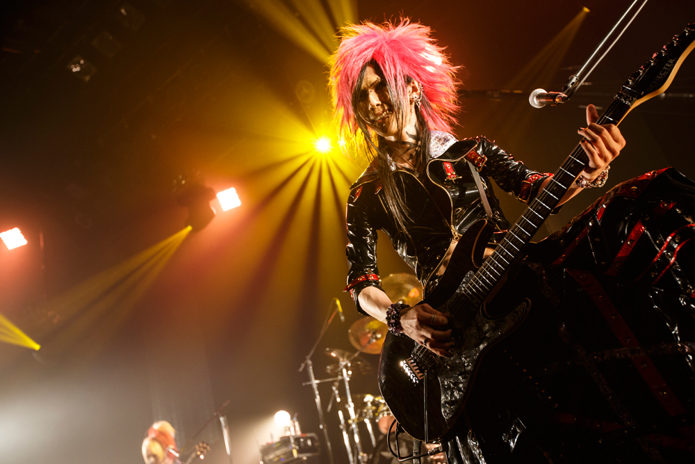 H I P Hayashi International Promotions Royz