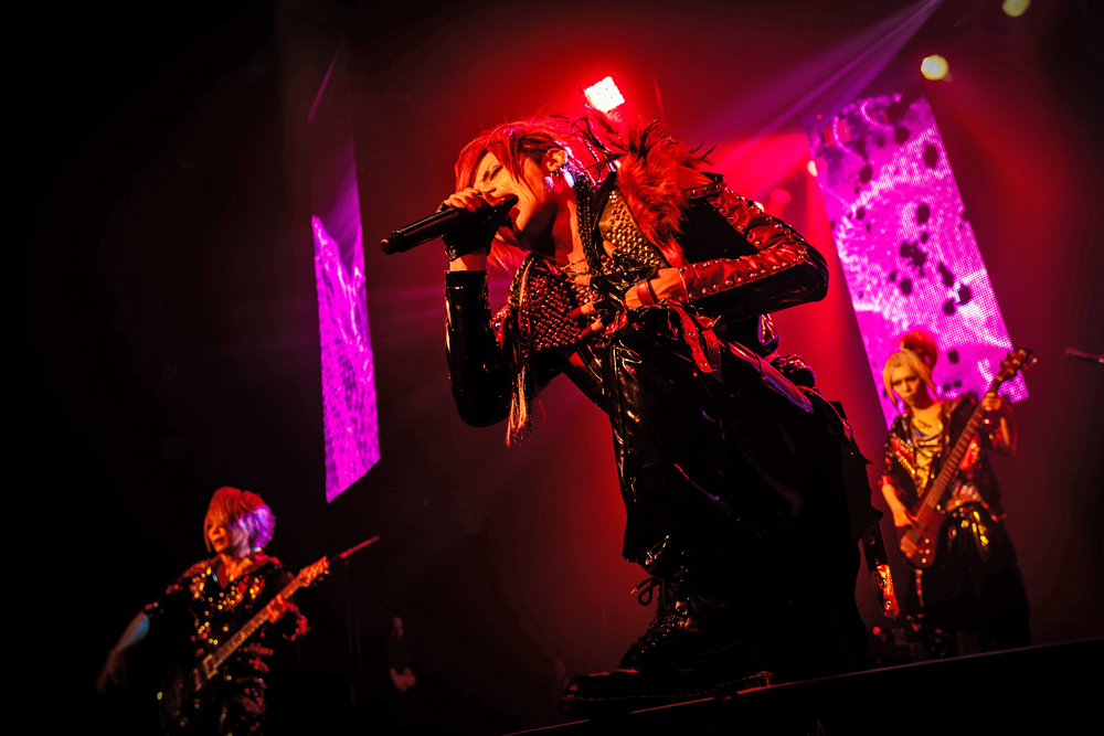 H.I.P. HAYASHI INTERNATIONAL PROMOTIONS | Royz