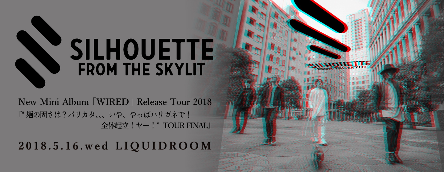 SILHOUETTE FROM THE SKYLIT